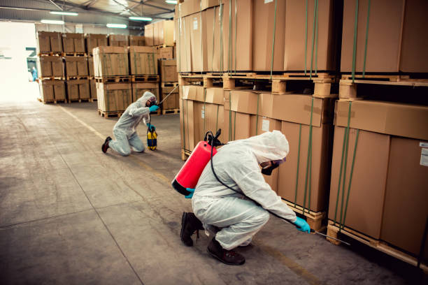 Professional Pest Control in Konterra, MD