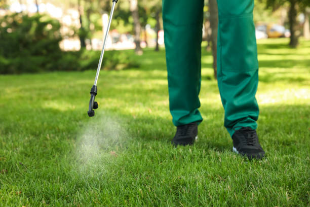 Best Pest Control for Homes  in Konterra, MD