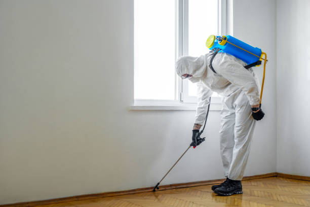 Best Pest Inspection Near Me  in Konterra, MD