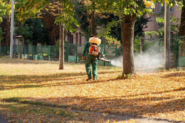 Best Emergency Pest Control  in Konterra, MD