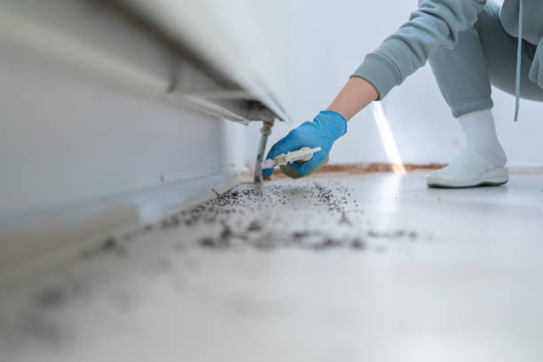 Best Commercial Pest Control Services  in Konterra, MD